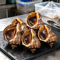 Steamed Sea Snails In Shell