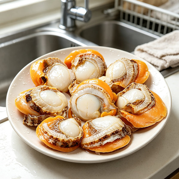 Fresh Whole Scallops In Shell